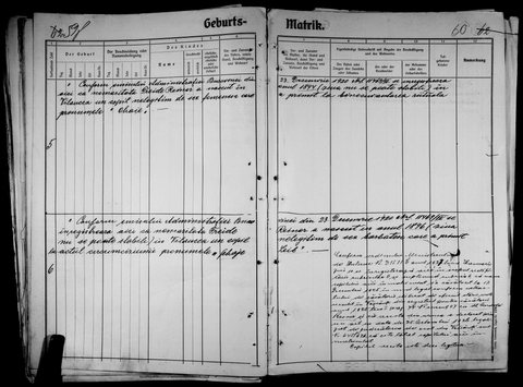 The Waschkoutz Jewish birth register, 1921: entries 5 and 6, Chaie (1894) and Schaje Leib — Zeidi — (1896), children of Freide Reiner of Vil