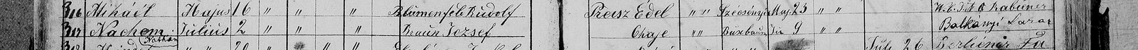 Nachman Braun’s birth, Kisvárda, 2 July 1873 (entry 317): father József Braun, mother Chaje.