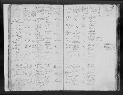 The birth of Sender’s brother Anschel, Kurima, 24 November 1888, to the same parents.